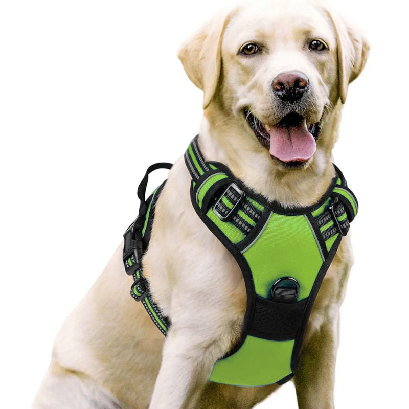 Pawlume No-Pull Padded Dog Harness