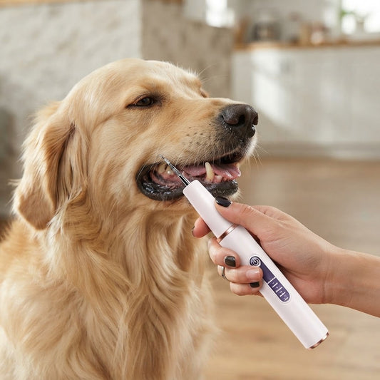 Pawlume Ultrasonic Pet Dental Remover