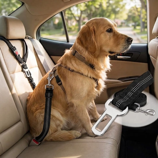 Pawlume Reflective Retractable Dog Leash
