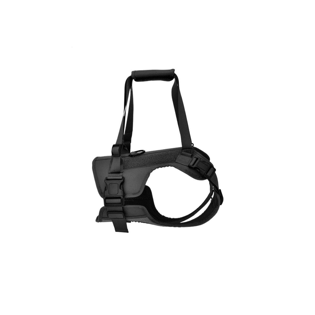 Pawlume Dog Rehabilitation Training Vest