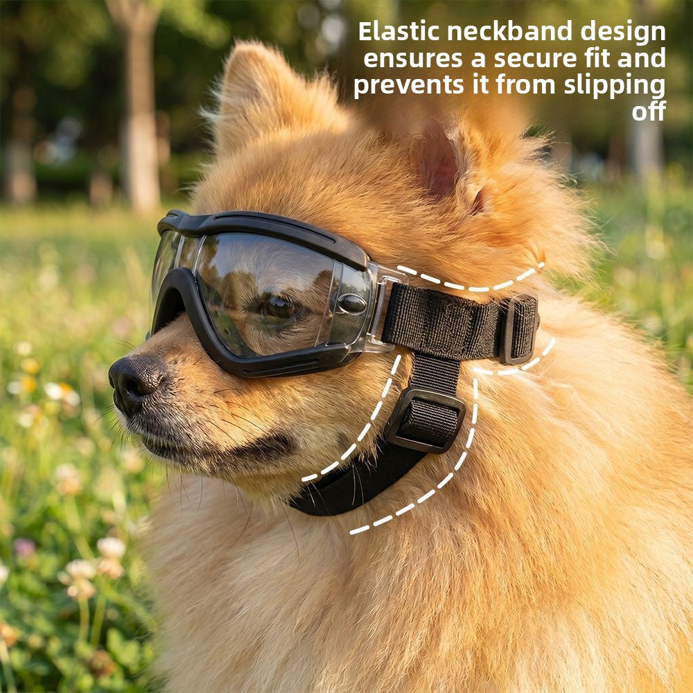 Pawlume Adjustable Pet Protective Goggles
