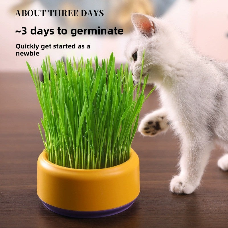 Pawlume Hydroponic Cat Grass Kit