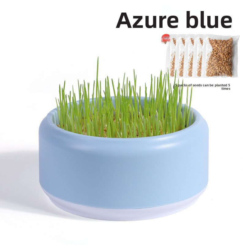 Pawlume Hydroponic Cat Grass Kit
