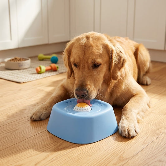 Pawlume Non-Slip Slow Feeder Dish for Healthier Mealtimes