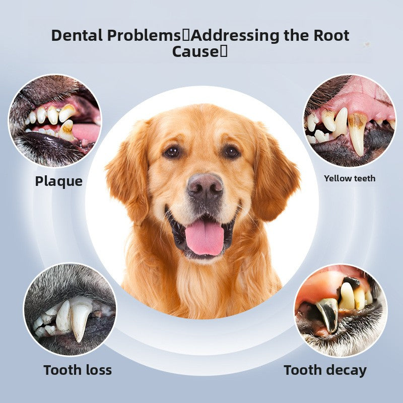 Pawlume Ultrasonic Pet Dental Remover
