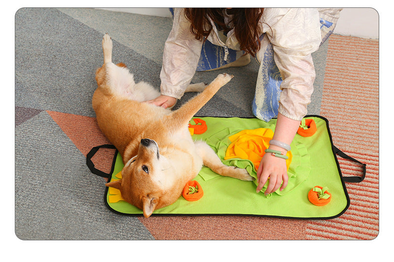 Pawlume Pet Snuffle Training Mat