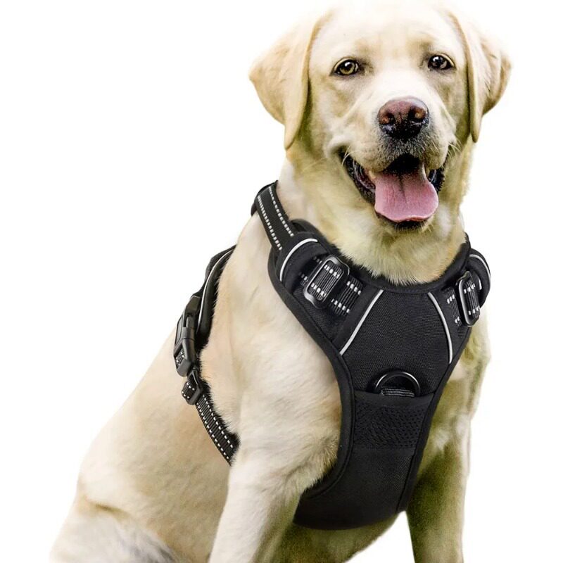 Pawlume No-Pull Padded Dog Harness