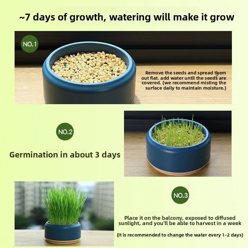 Pawlume Hydroponic Cat Grass Kit