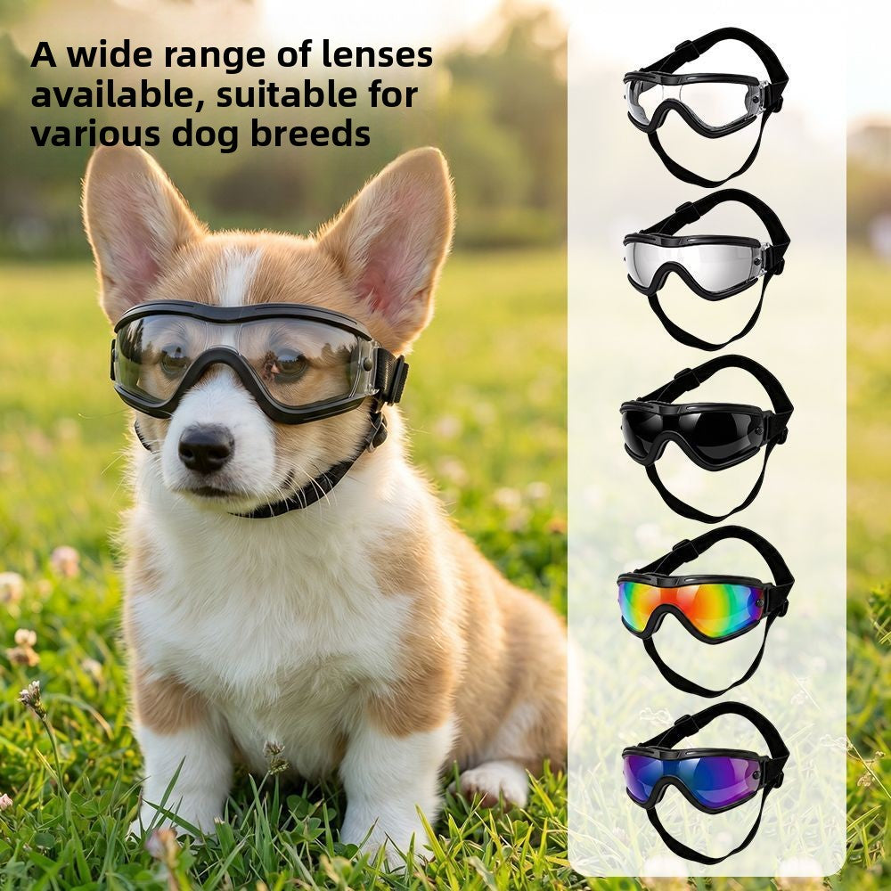 Pawlume Adjustable Pet Protective Goggles