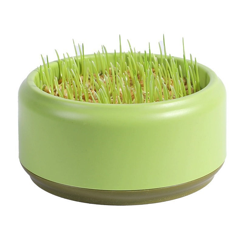 Pawlume Hydroponic Cat Grass Kit