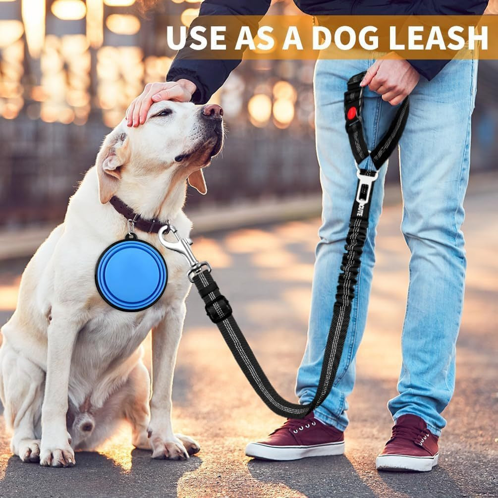 Pawlume Reflective Retractable Dog Leash
