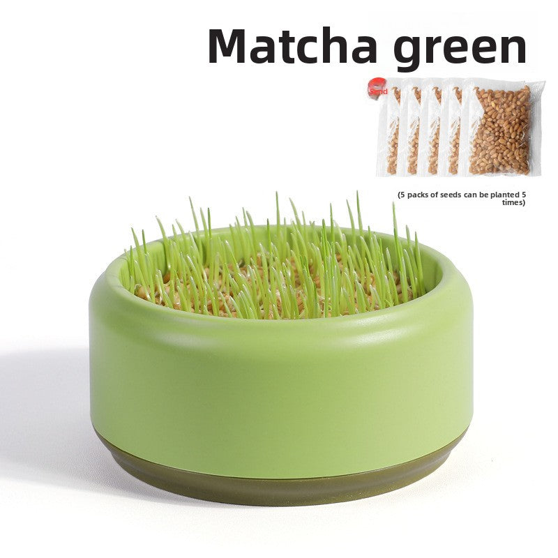 Pawlume Hydroponic Cat Grass Kit