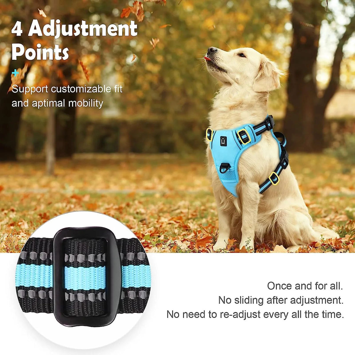 Pawlume No-Pull Padded Dog Harness