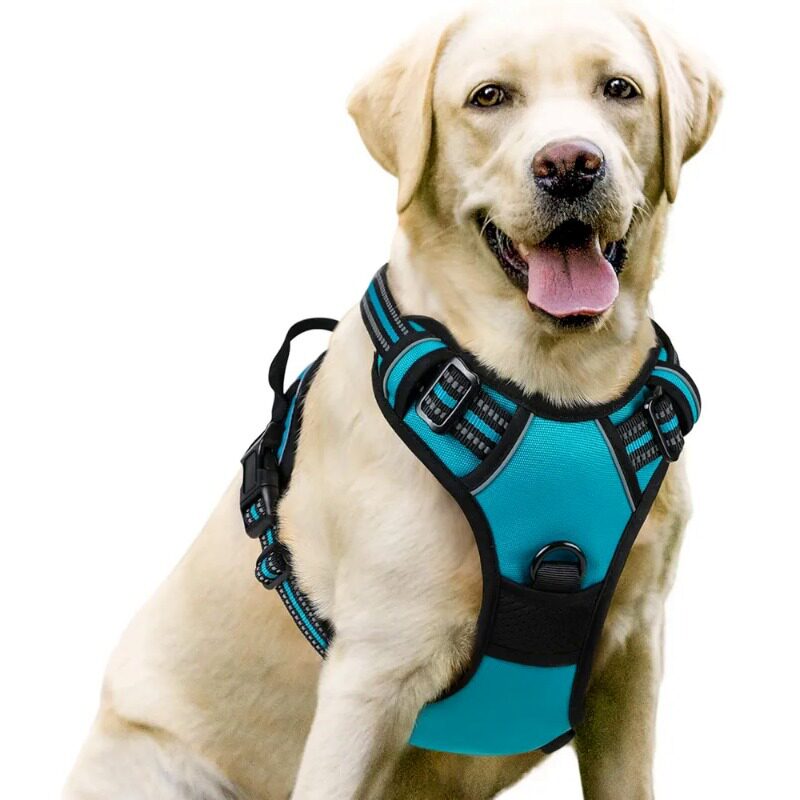 Pawlume No-Pull Padded Dog Harness
