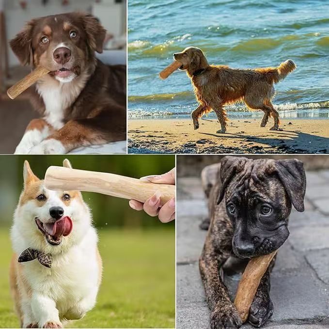 Pawlume Natural Coffee Wood Dog Chew Sticks
