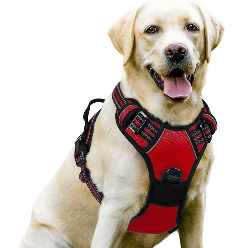 Pawlume No-Pull Padded Dog Harness