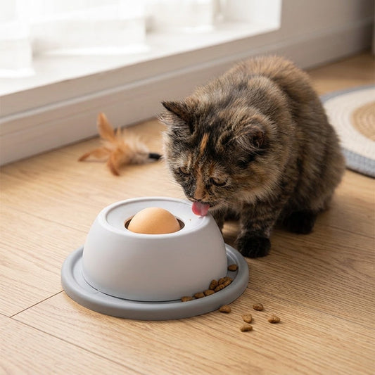 Pawlume Slow Feeder Cat Bowl